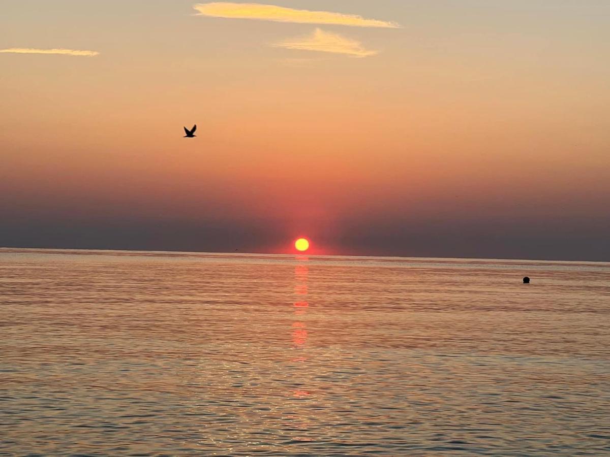 Complex Relax Pomorie All Inclusive Extérieur photo